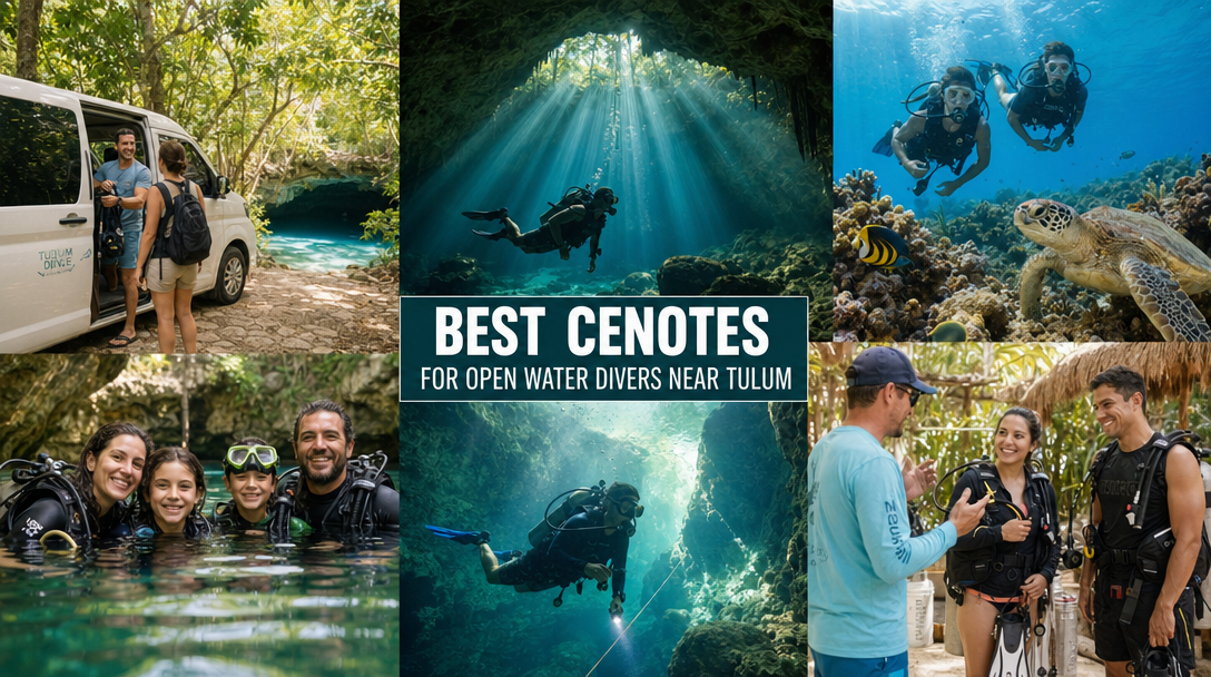 Best Cenotes for Open Water Divers Near Tulum featured image