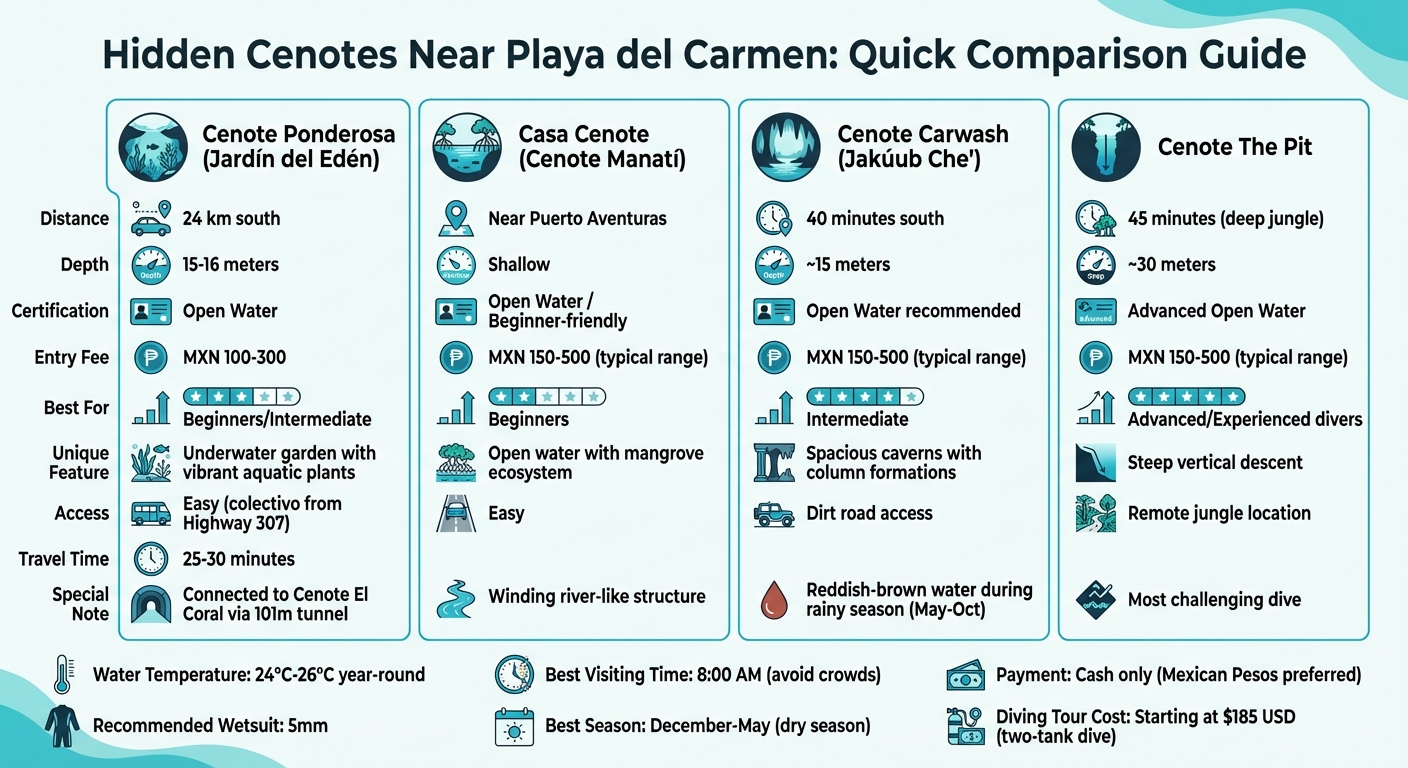 Hidden Cenotes Near Playa del Carmen: Comparison Guide for Divers