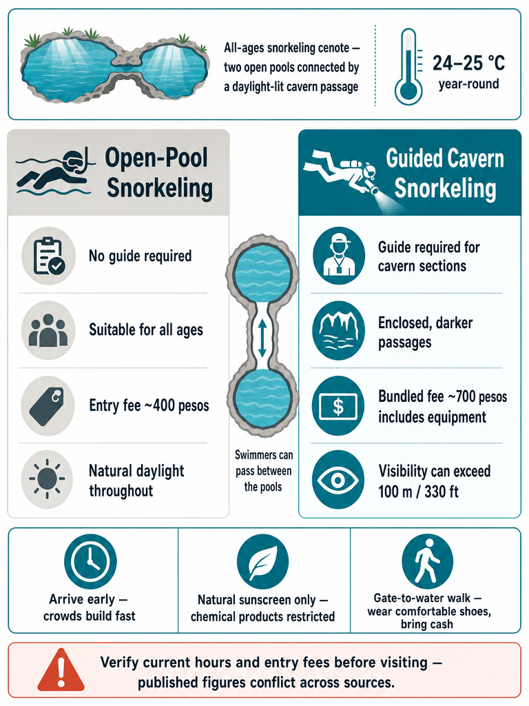 Can Beginners Snorkel Dos Ojos: What to Know First infographic
