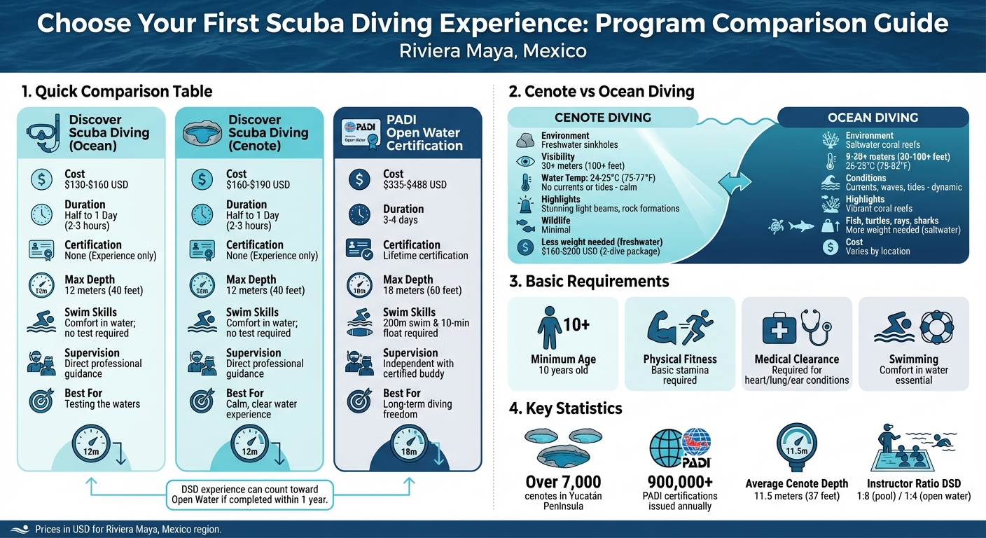 Scuba Diving Programs Comparison: Discover Scuba vs PADI Certifications in Mexico