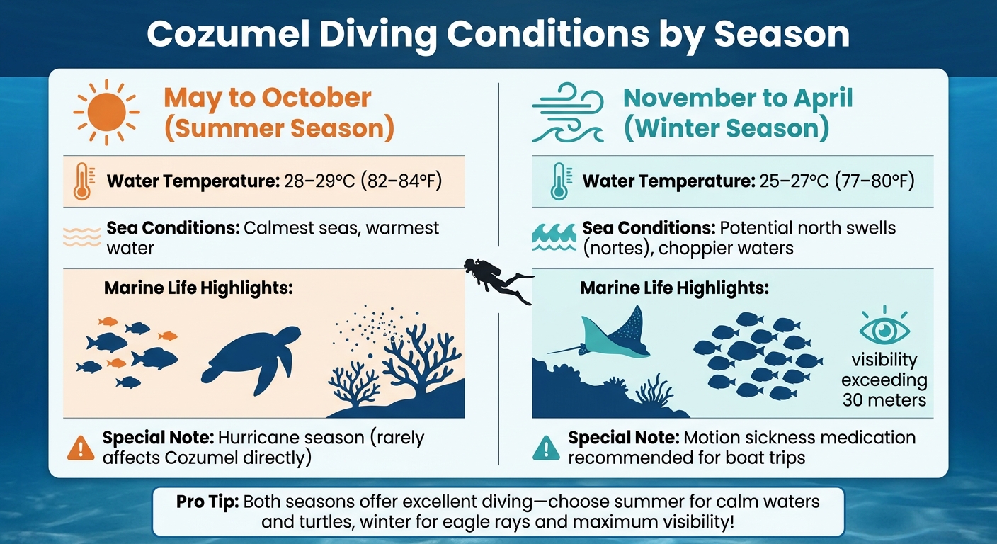 Cozumel Diving Seasons Comparison: Water Temperature, Conditions & Marine Life