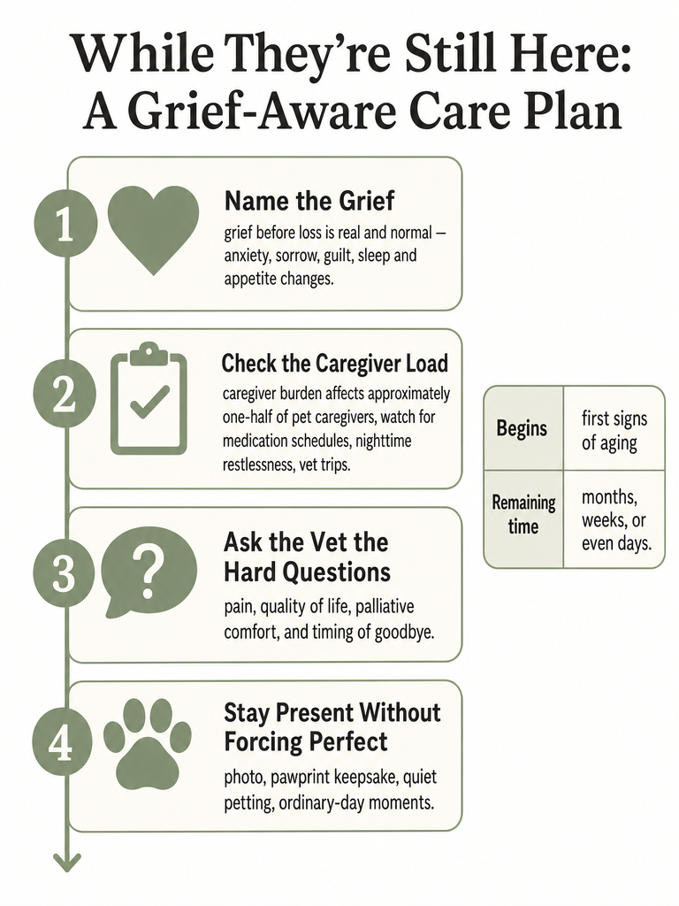 Anticipatory Grief in Dog Owners: What Helps Right Now infographic