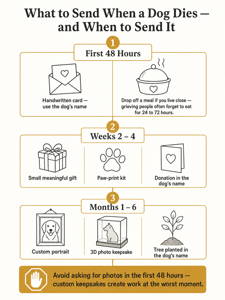 Best Sympathy Gifts for Someone Whose Dog Died infographic