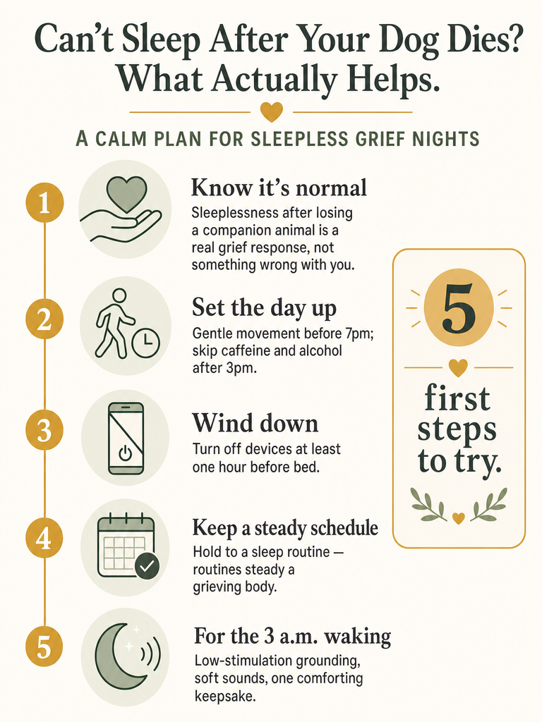 Can't Sleep After Your Dog Dies? What Actually Helps infographic