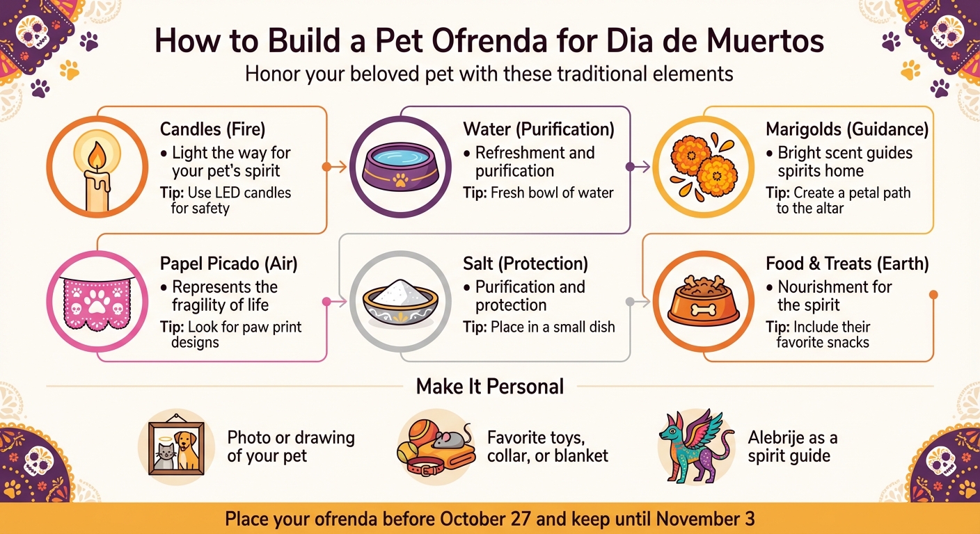 How to Build a Pet Ofrenda for Dia de Muertos