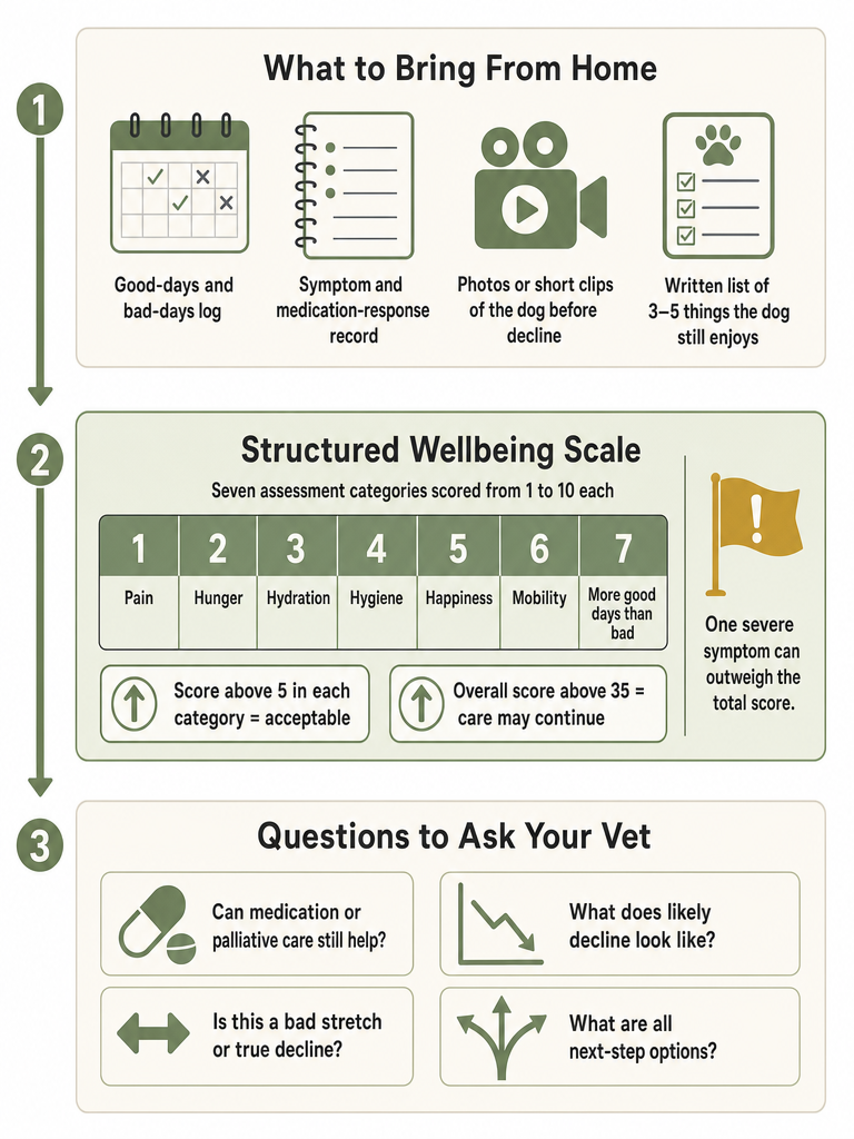 How to Talk to Your Vet About Dog Quality of Life infographic