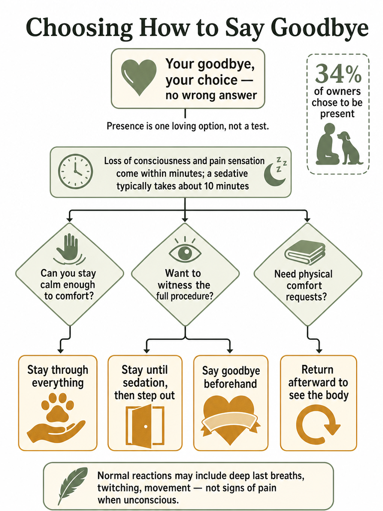 Should You Be in the Room During Dog Euthanasia? infographic