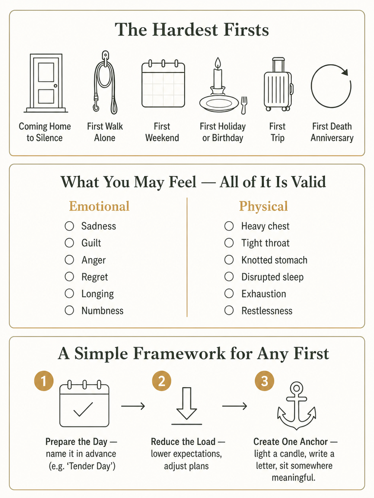 Surviving the “Firsts” After Losing a Dog infographic